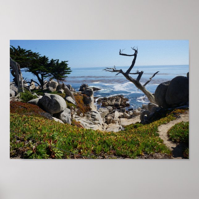 Poster Árvore Fantasma - Unidade de 17 Milhas Censica nº  (Frente)