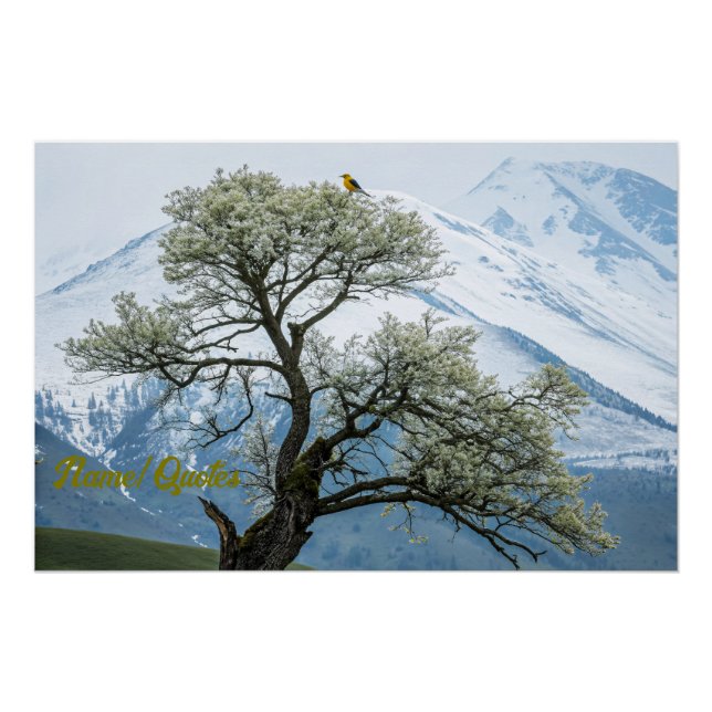 Póster Árvore Florindo Solitária e Montanhas Nevadas (Frente)