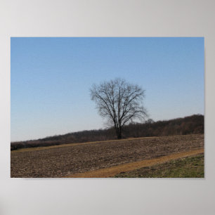 Póster Árvore genealógica