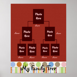 Poster Árvore genealógica 02