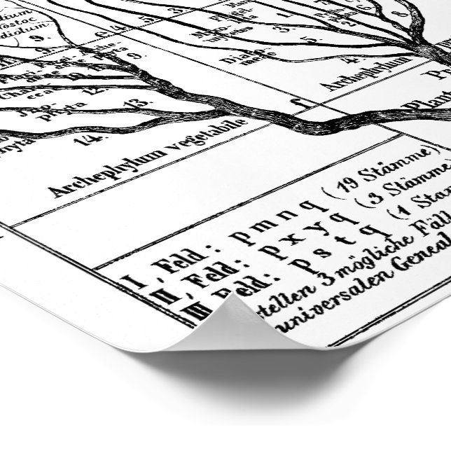 Poster Árvore Haeckel da Vida (Borda)