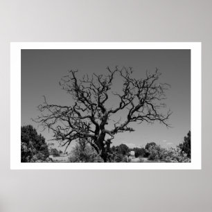 Póster Árvore inoperante