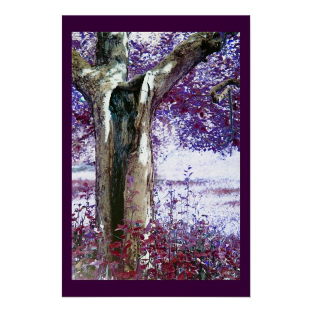 Póster Árvore Mística (Frente)