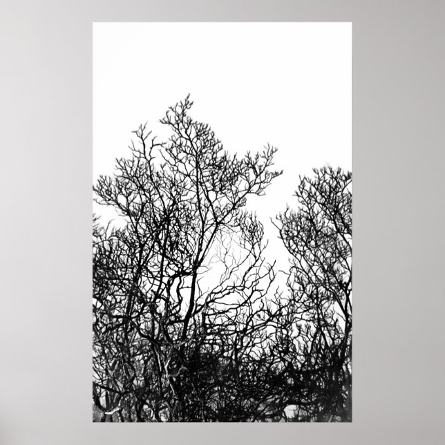 Poster Árvore Moderna em Preto e Branco Artístico (Frente)