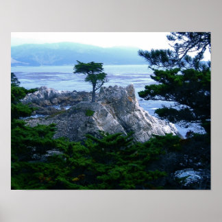 Poster árvore monérica