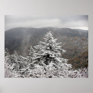 Póster Árvore nevado