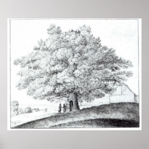 Póster Árvore oca em Hampstead, 1663