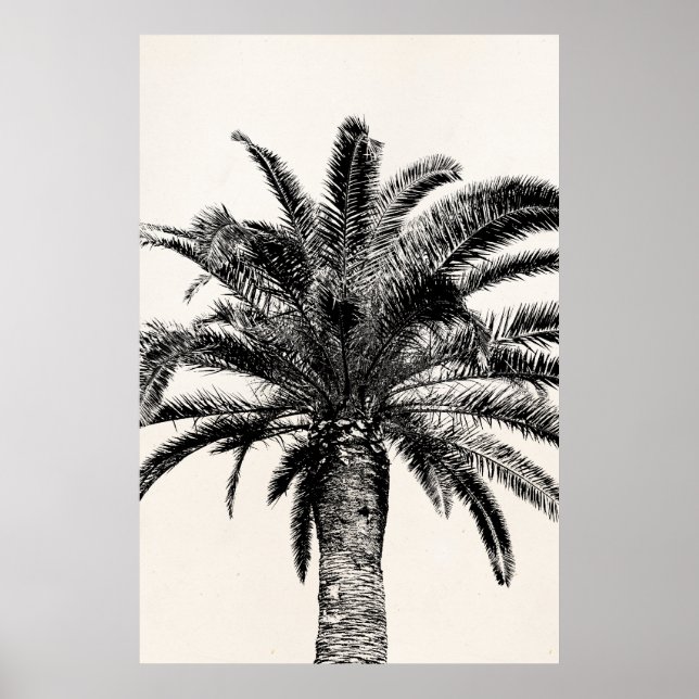 Póster Árvore Palm da Ilha Tropical de Preto e Branco (Frente)