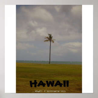 Póster Árvore Palm Havaiana
