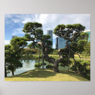 Poster Árvore Pine Preta Exclusiva
