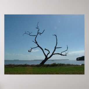 Poster Árvore Poeta