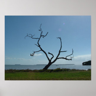 Poster Árvore Poeta