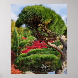 Poster Árvore preta e foto do mapeamento vermelho japonês