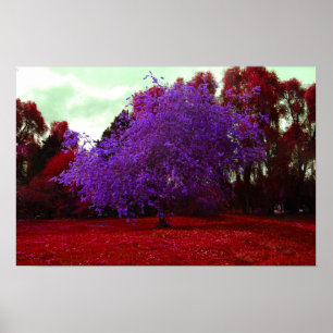 Póster Árvore Psicodélica