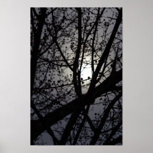 Poster Árvore retroiluminada