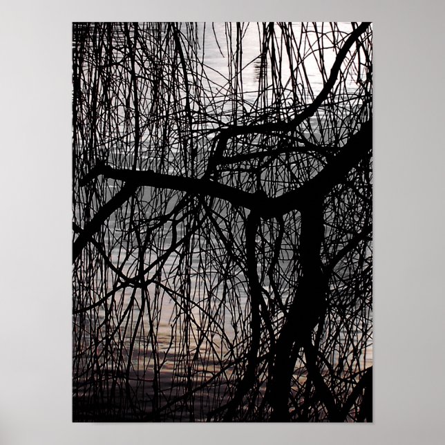 POSTER ÁRVORE SALGUEIRO DE INVERNO (Frente)