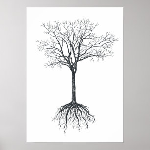 Poster Árvore sem folhas