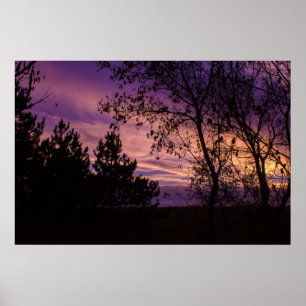 Poster Árvore Silhueta do Céu Crepúsculo Roxo