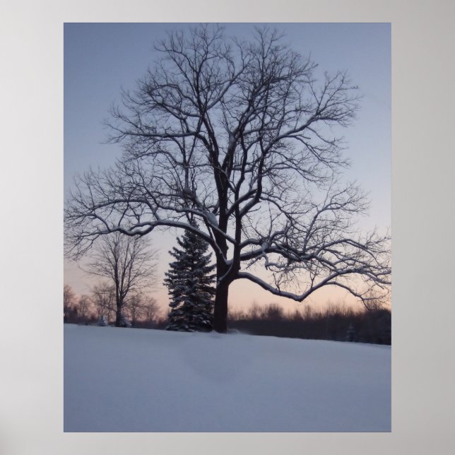 Poster Árvore Solitária (Frente)