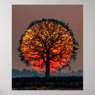 Poster Árvore Solitária ao Pôr do Sol