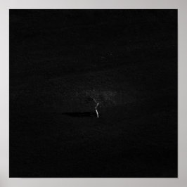 Poster Árvore solitária minimalista em preto e branco