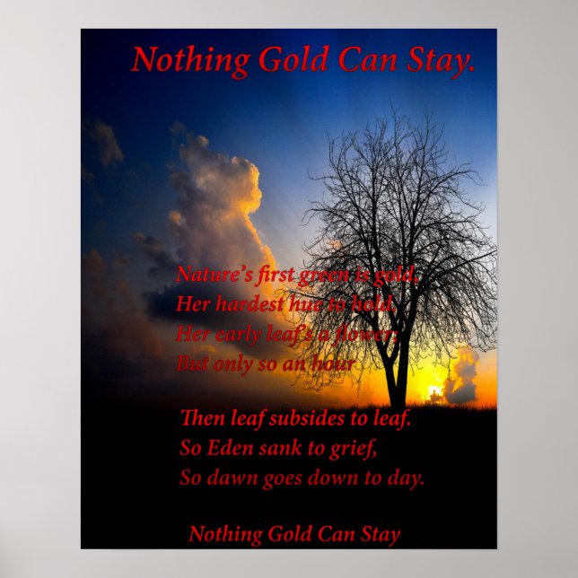 Póster Árvore sozinha (Frente)