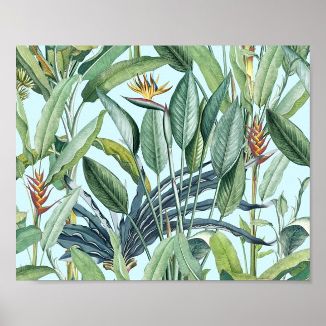 Poster Árvore Tropical de Banana Verde Tropical Strelitzi (Frente)