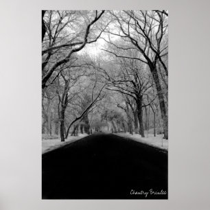 Póster Árvore Tunell