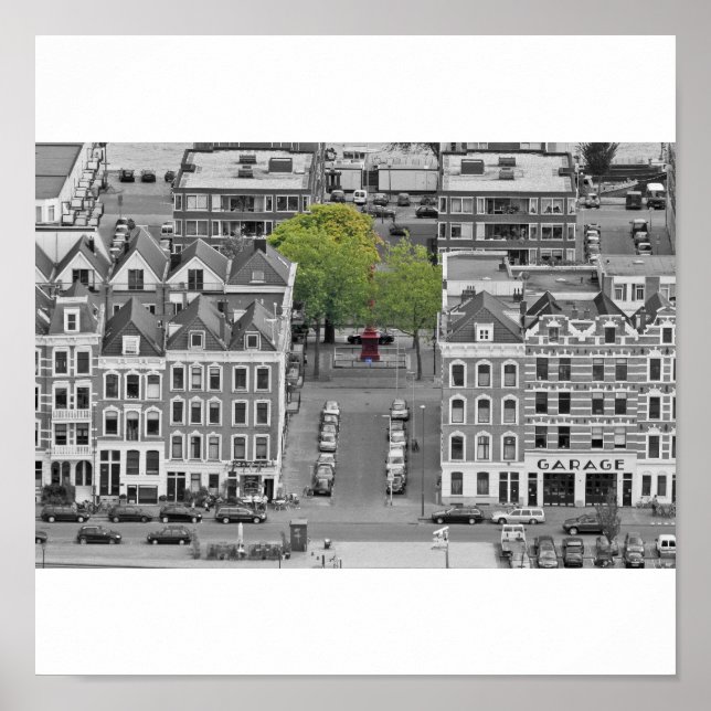 Póster Árvore Verde (Frente)