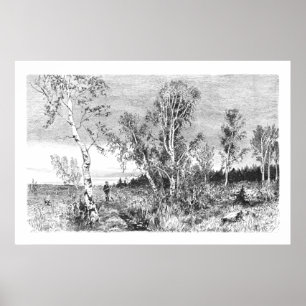 Poster Árvore Vintage Birch 1800s Antiquado