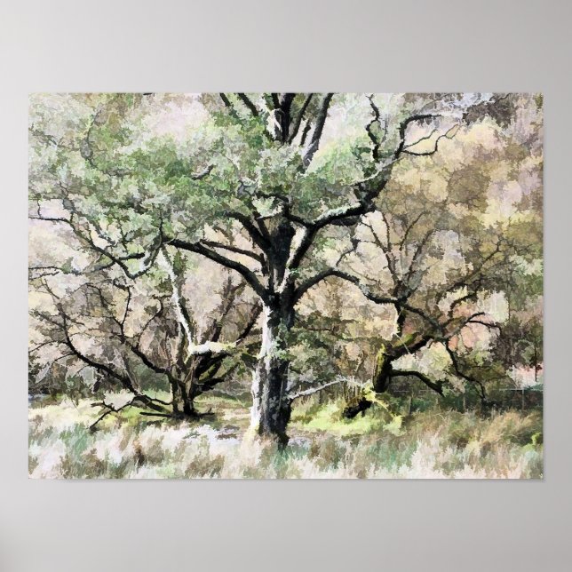 POSTER ÁRVORES (Frente)