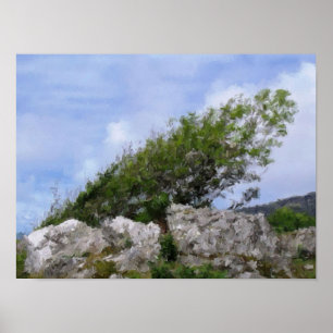 PÓSTER ÁRVORES