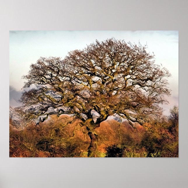 POSTER ÁRVORES (Frente)