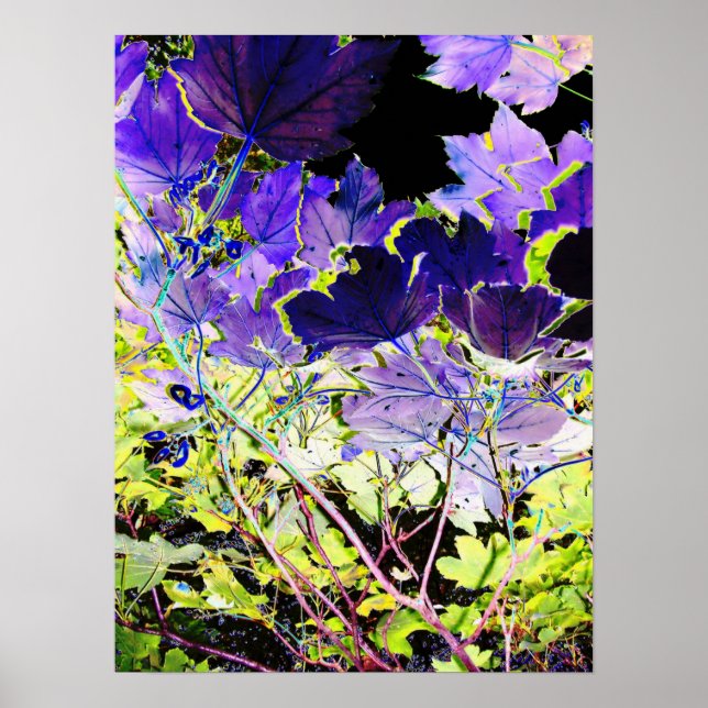 POSTER ÁRVORES (Frente)