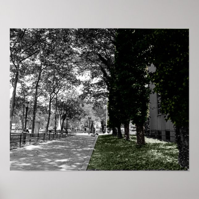 Póster Árvores (Frente)