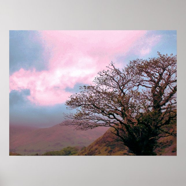 PÓSTER ÁRVORES (Frente)