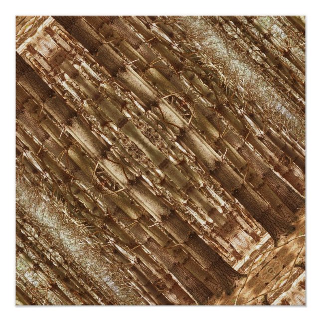 Póster Árvores altas (Frente)