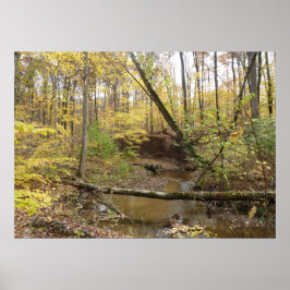 Póster Árvores Amarelas do outono na Corrente