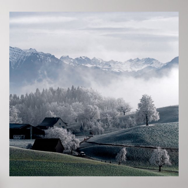 POSTER ÁRVORES AO LADO DA NEVE MONTANHA CABADA DURANTE O  (Frente)