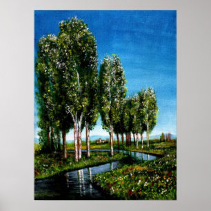 POSTER ÁRVORES BIRCH NA TOSCANA