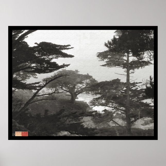 Poster Árvores - Carmel Pelo Mar, Califórnia (Frente)