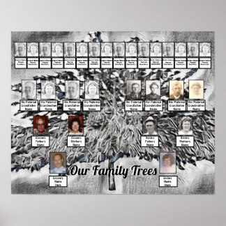 Poster Árvores da família de fotos em arte digital branca