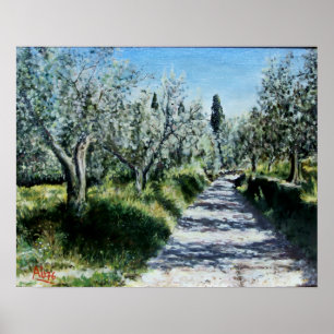 Póster ÁRVORES DE AZEITONA EM RIMAGGIO Toscana