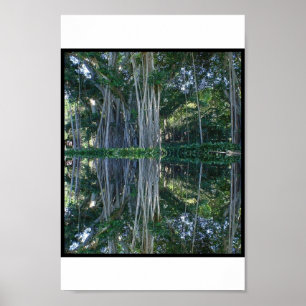 Póster Árvores de Banyan do museu de Ringling