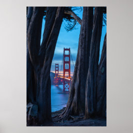 Poster Árvores de Cipreste com Vista para a Ponte Golden