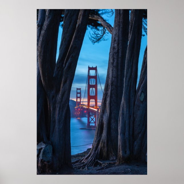 Poster Árvores de Cipreste com Vista para a Ponte Golden  (Frente)