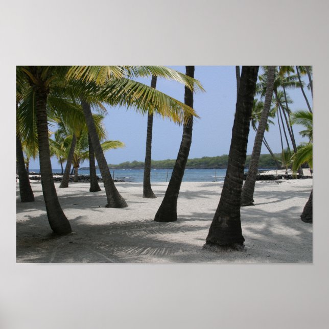 Poster Árvores de Coco no Local de Refúgio, Havaí - Impre (Frente)