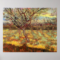 Árvores de damascos no Flor por Vincent van Gogh