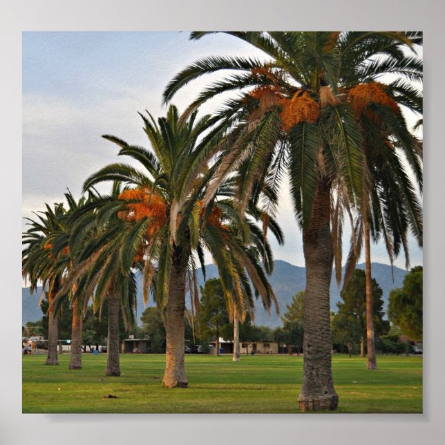 Póster Árvores de Data Deliciosas (Frente)