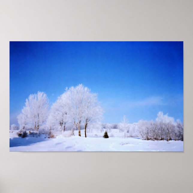 Poster Árvores de inverno (Frente)
